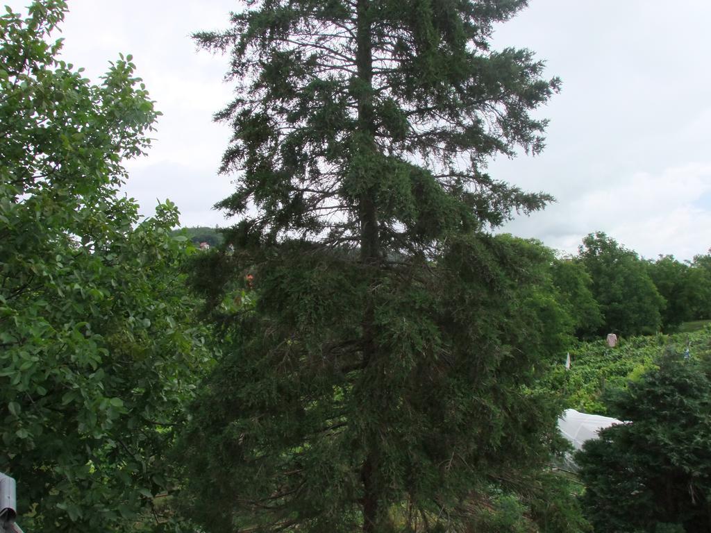 Levente Apartman Balatongyörök エクステリア 写真